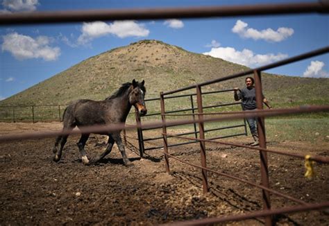 A life from the land: Ranchers of color, now and in the past, make marks in Colorado
