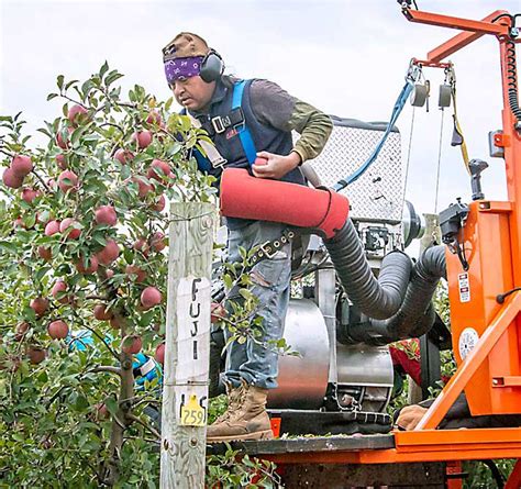 A long and fruitful fruition for Apple Vacuum System