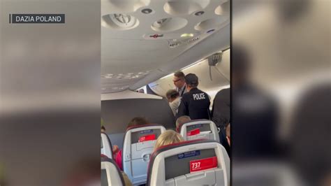A man charged with punching a flight attendant also allegedly kicked a police officer in the groin