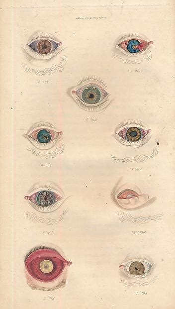 A manual of the diseases of the human eye by carl heinrich weller. - The new rivers and wildlife handbook rspb.