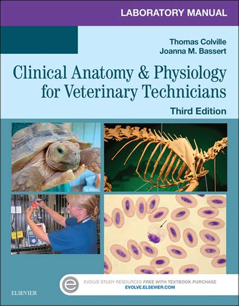 A manual of veterinary physiology by frederick smith si r. - 2004 gratuito chrysler sebring manuale di riparazione.