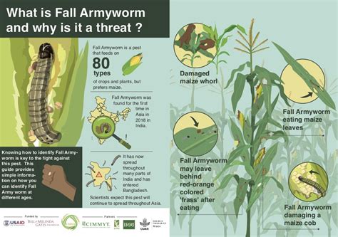 A mathematical model for fall armyworm management on