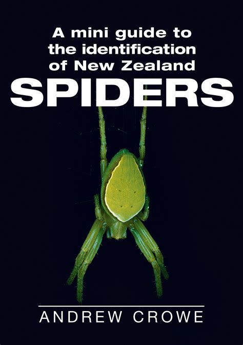 A mini guide to the identification of new zealand spiders. - Study guide for homeland security test.