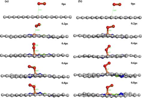 A molecular dynamics investigation into the adsorption ... - Springer