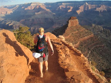 A naturalist s guide to hiking the grand canyon. - Fender owners manual for guitars and basses.
