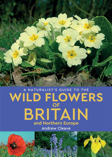 A naturalist s guide to the wild flowers of britain. - Oracle r12 advance benefits student guide.