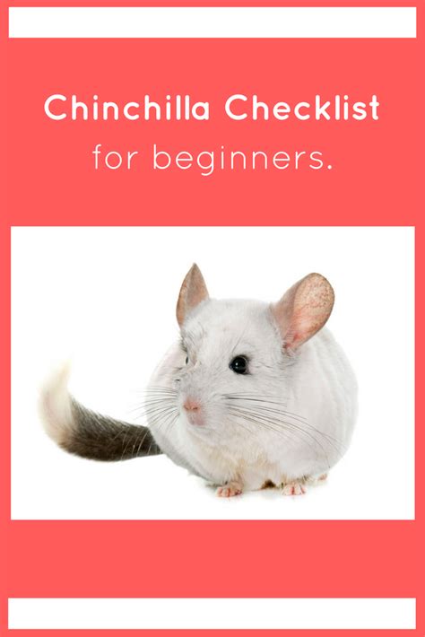 A new owners guide to chinchillas. - The yijing medical qigong system a daoist medical i ching approach to healing.