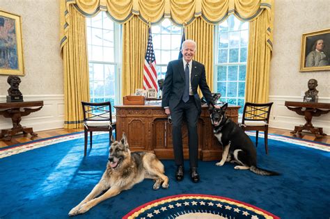 A new president and his pet pdf