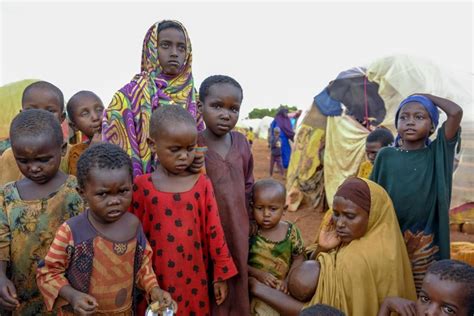 A new report says an estimated 43,000 people died last year amid Somalia’s historic drought, half of them children.