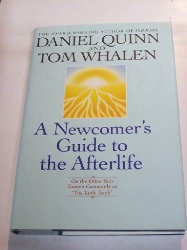 A newcomers guide to the afterlife on the other side. - Jag trivs inte var som helst..