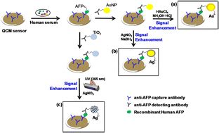 codini.rgarabwor.edu.pl. 
