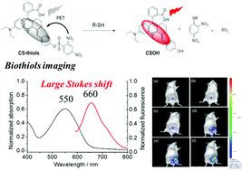 A novel TICT-based near-infrared fluorescent probe for