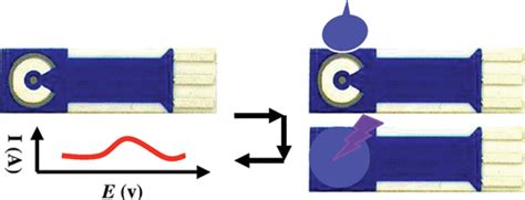 A novel photoelectrochemical sensor for the organophosphorus