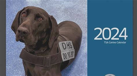 A paw-fect gift: TSA releases 2024 canine calendar