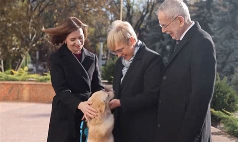 A pawlitical scandal: Moldova’s First Dog bites Austrian president