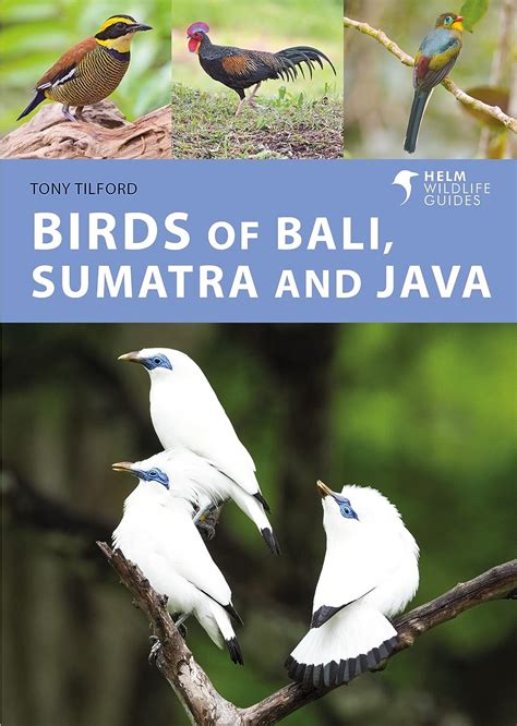 A photographic guide to birds of java sumatra and bali by tony tilford. - Suzuki dt 9 9 service manual.