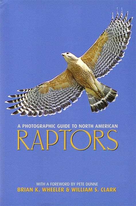 A photographic guide to north american raptors. - Philip pullman master storyteller a guide to the worlds of his dark materials.