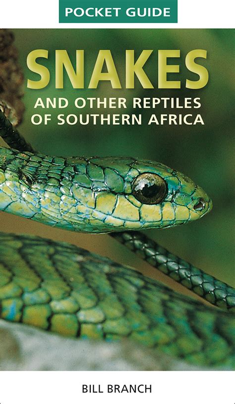 A photographic guide to snakes and other reptiles of southern. - Mayorazgo de serracines y señorío de fresno.