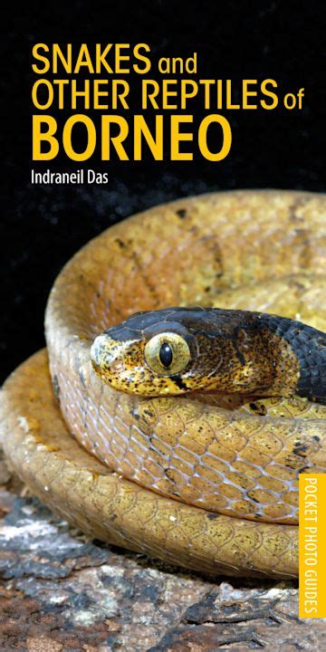 A photographic guide to snakes other reptiles of borneo. - 2012 grand cherokee repair manual for sale.