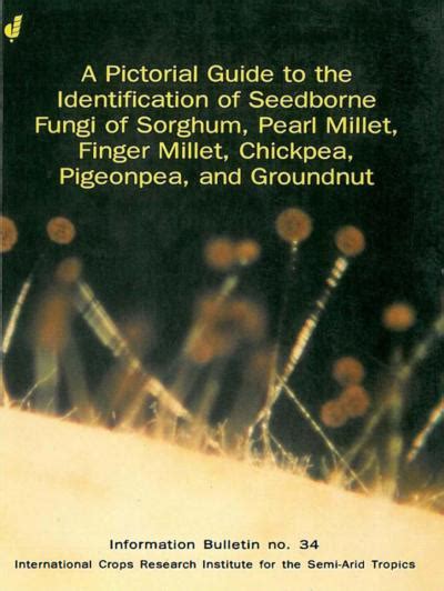 A pictorial guide to the identification of seedborne fungi of sorghum pearl millet chickpea pigeo. - By fred beisse a guide to computer user support for help desk and support specialists 5th edition 5e.