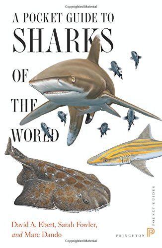 A pocket guide to sharks of the world princeton pocket guides. - Zasady i modele samodzielnego uczenia się w teorii i praktyce.
