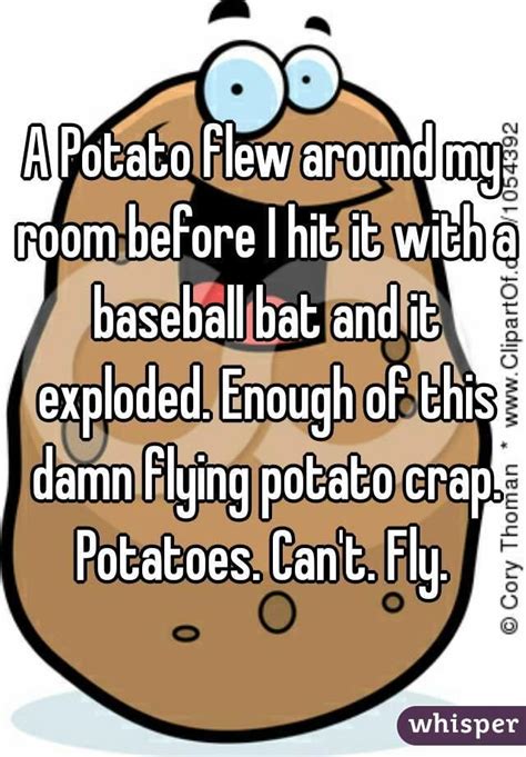 Potato flew around my room before you came, excuse the mess it ma
