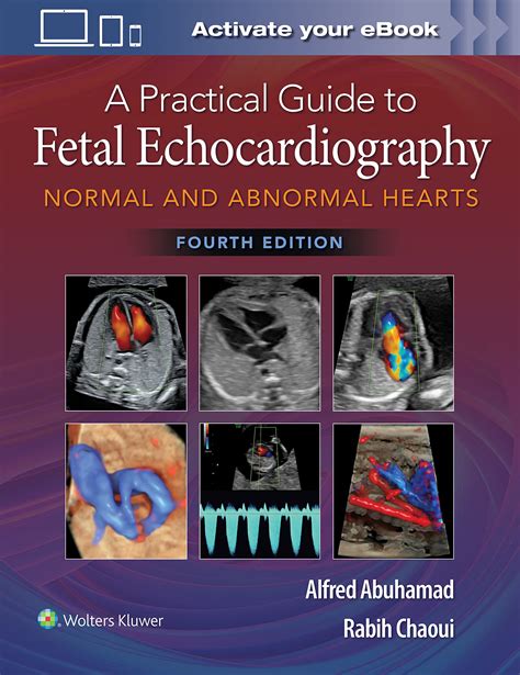A practical guide to fetal echocardiography by alfred z abuhamad. - Magia médica y psicoterapia en el ecuador.