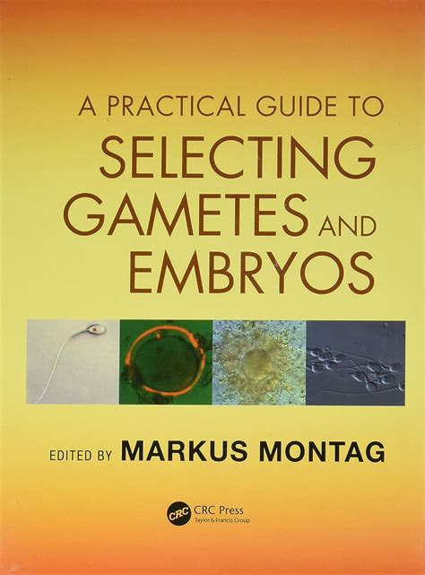 A practical guide to selecting gametes and embryos by markus montag. - Free free manuals for hyundai sonata 2010 oem factory service repair manual.