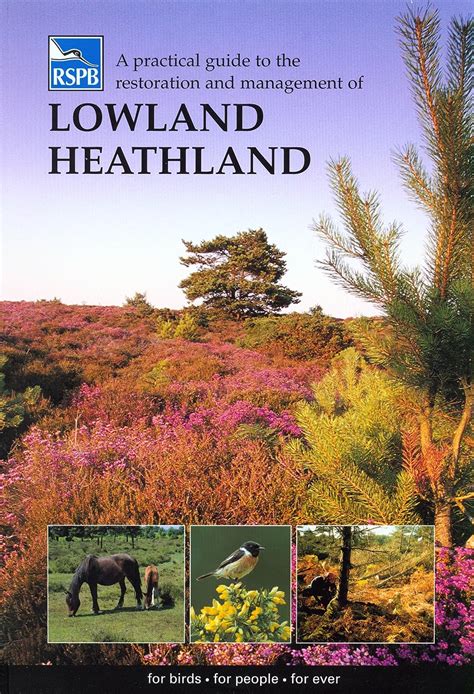 A practical guide to the restoration and management of lowland heathland rspb management guides. - Vasalt ruha mángorolva ; meghúzom magam.