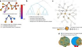 A predictive computational framework for direct reprogramming ... - Nature