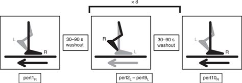 A progressive-individualized midstance gait perturbation protocol …