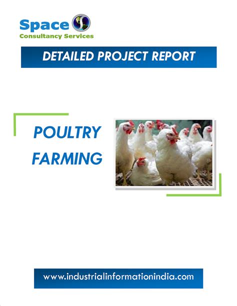 A project report on poultry trade at new delhi 2
