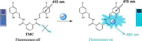 A pyridine‐dicarbohydrazide‐based chemosensor for detecting …