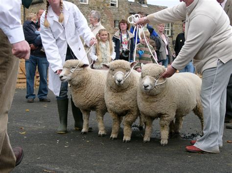 A reminder for exhibitors: the closing... - Masham Sheep Fair