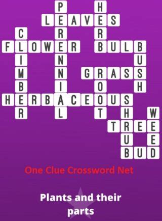 A shrub verbena crossword clue. The Crossword Solver found 30 answers to "7) Perennial flowering verbena", 7 letters crossword clue. The Crossword Solver finds answers to classic crosswords and cryptic crossword puzzles. Enter the length or pattern for better results. Click the answer to find similar crossword clues . Enter a Crossword Clue. A clue is required. Sort by Length. 