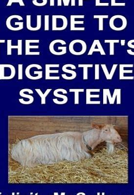 A simple guide to the goats digestive system goat knowledge. - Hemmungen und pendel für präcisionsuhren und die uhren des riefler'schen systems..