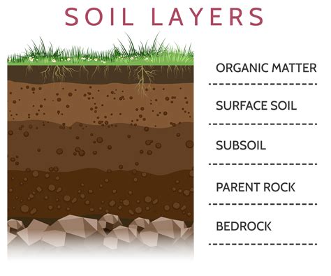 The Soil Profile. The vertical section of soil that shows the presence of distinct horizontal layers is known as the soil profile (SSSA 2008). ... Platy soil structure consists of peds that are plate-like (flat and thin) and usually oriented horizontally. Platy soil structure may occur throughout the soil profile, but is common in E horizons or .... 