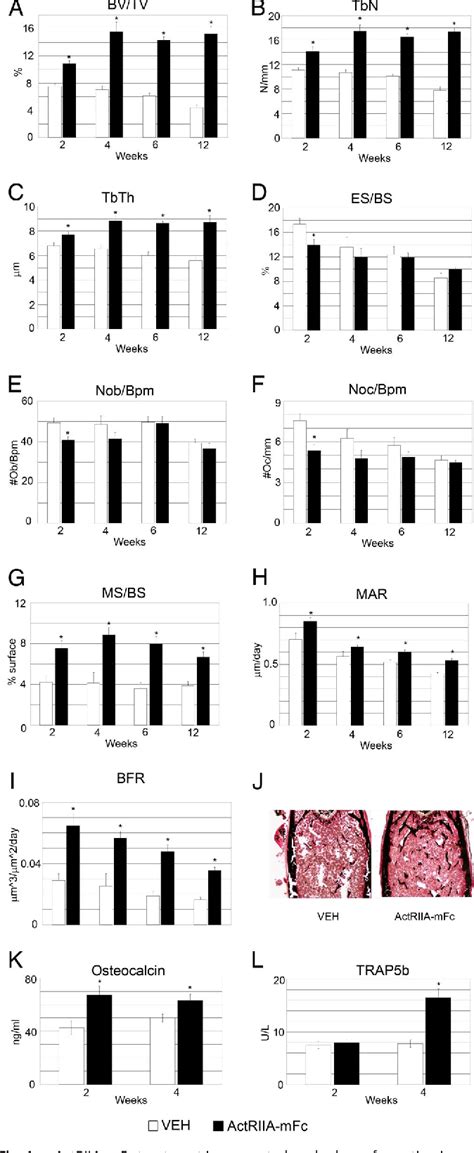 A soluble activin Type IIA receptor induces bone formation and