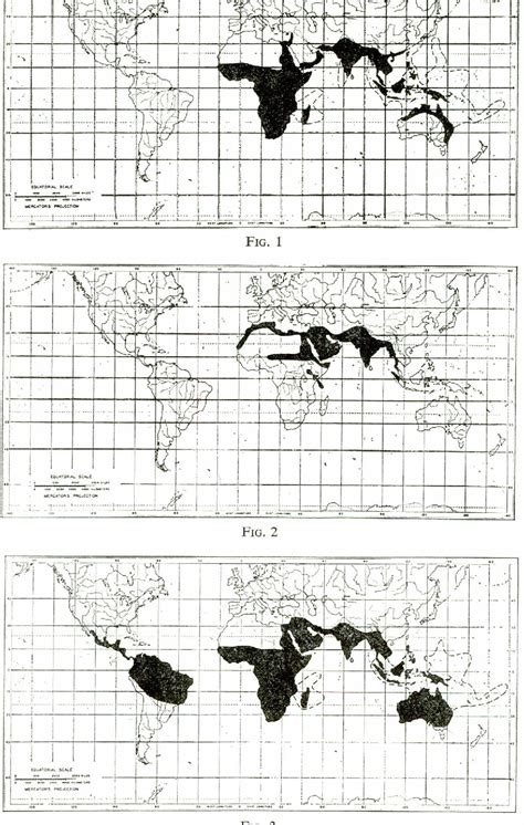 A species‐based theory of insular zoogeography - Semantic Scholar