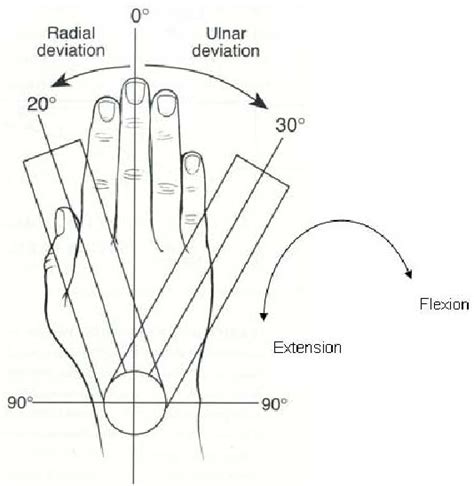 A study of the range of motion of human fingers with application …