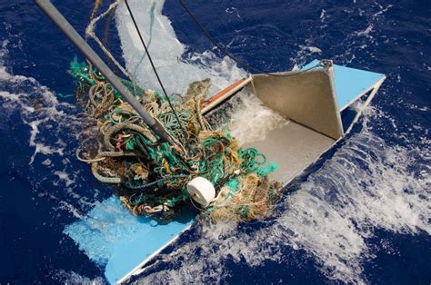 A surprising number of drifting sea creatures found living in the Great Pacific Garbage Patch