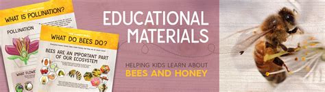 A teaching guide national honey board. - Canon ae 1 manuale di riparazione della fotocamera.