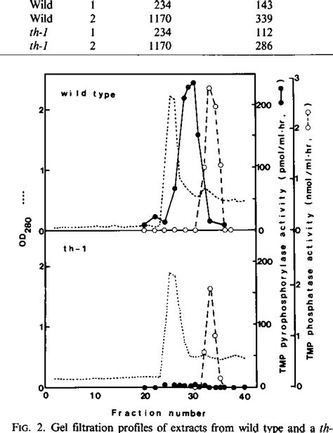 A th-1 Mutant of Arabidopsis thaliana Is Defective for a Thiamin ...