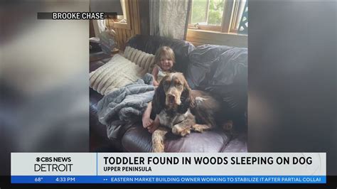 A toddler lost in the woods is found asleep using family dog as a pillow