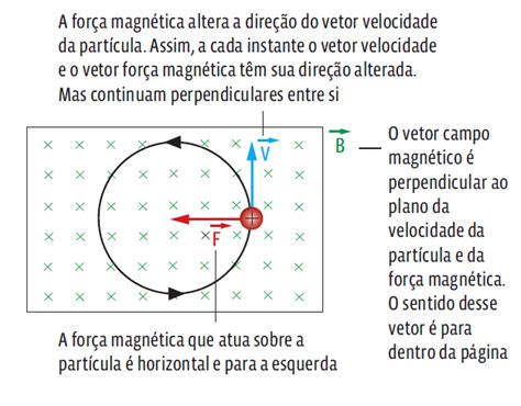 A trajetória de uma maga numa região mística do brasil. - Ford transit 2005 vh workshop manual.