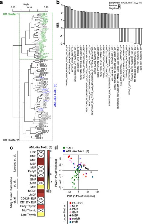 A transcriptomic continuum of differentiation arrest …