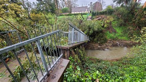 A tree brought down a 60-year-old pedestrian bridge in San Leandro during March storms