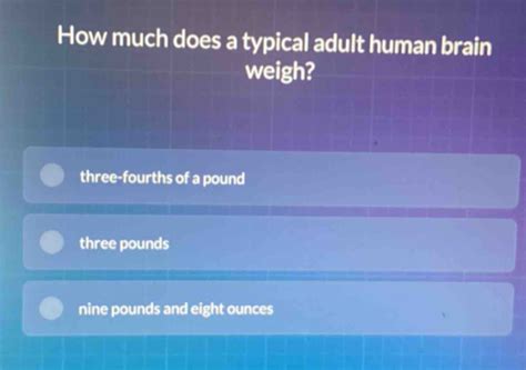 A typical brain weighs how much? A) 3 pounds (1.4 …