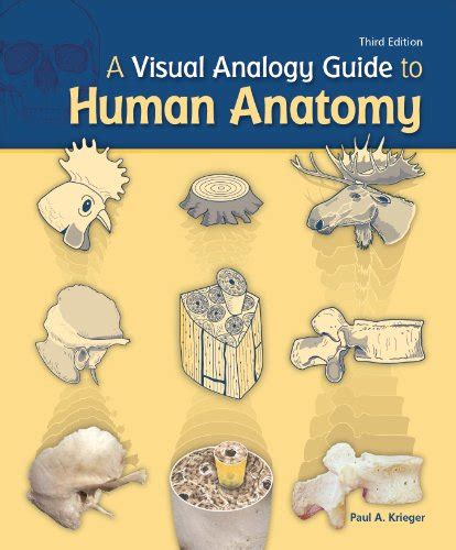 A visual analogy guide to human anatomy by paul a krieger. - Manuali di servizio di terne john deere 8b.