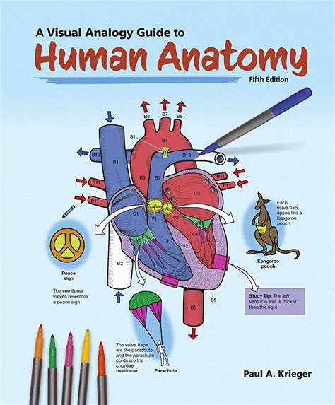 A visual analogy guide to human anatomy. - Success with science the winners guide to high school research.